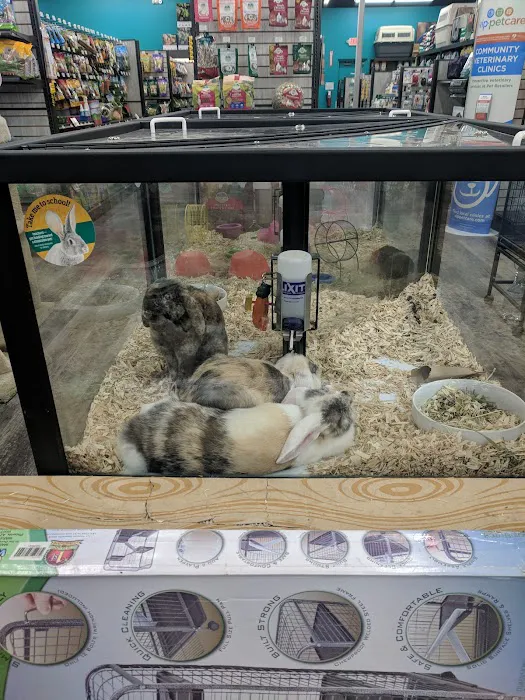 Pet Supermarket 6