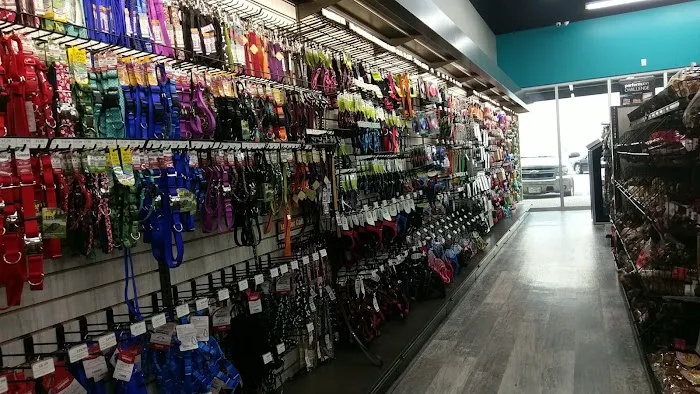 Pet Supermarket 9