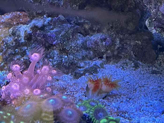 Austin Aqua Farms 1