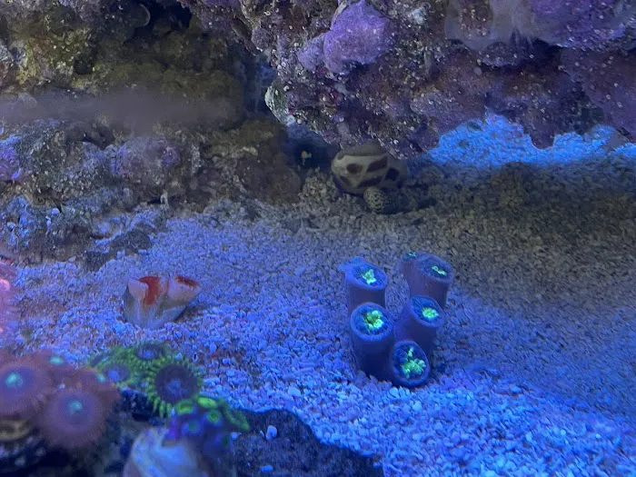 Austin Aqua Farms 2