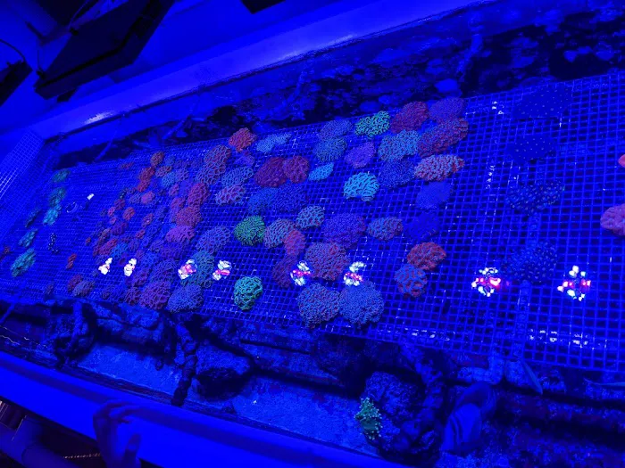 Austin Aqua Farms 7