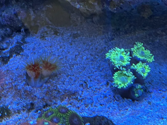Austin Aqua Farms 4