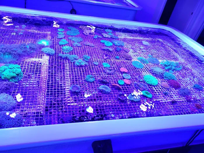 Austin Aqua Farms 9