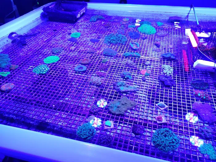 Austin Aqua Farms 8
