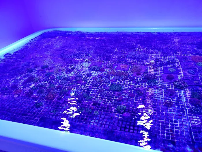 Austin Aqua Farms 3