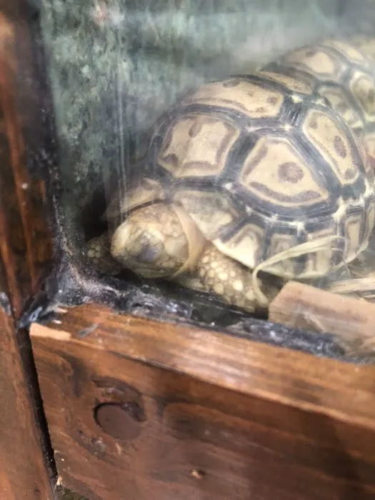 Zookeeper Exotics 10