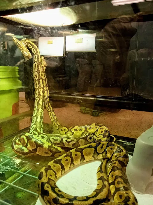 Zookeeper Exotics 4