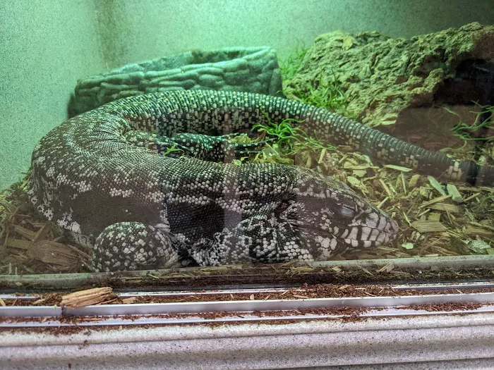 Zookeeper Exotics 9