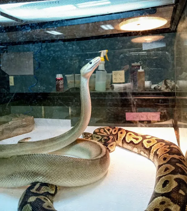Zookeeper Exotics 6