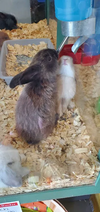 Whole Pets Market Lago Vista 1