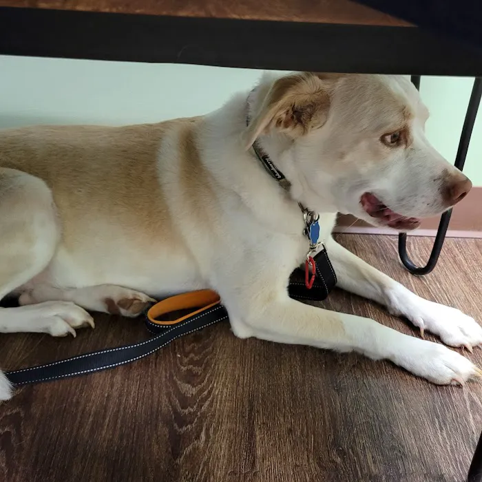 Oakes Animal Hospital 10