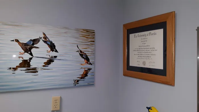 Mt Tabor Animal Hospital 2