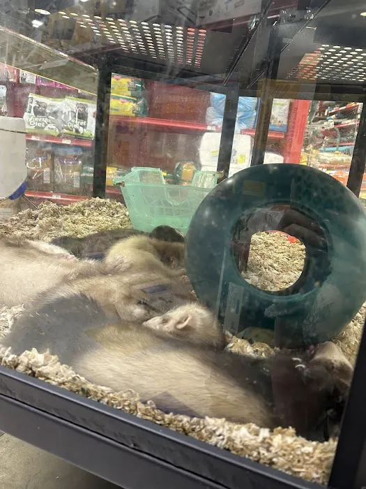 Petco 8