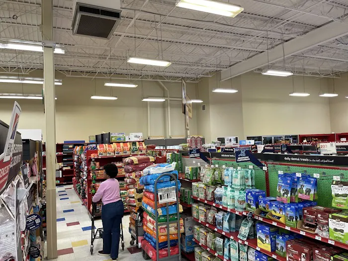 Petco 2
