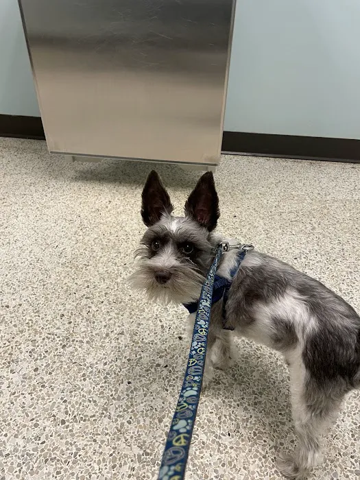 Oldtown Veterinary Hospital 2