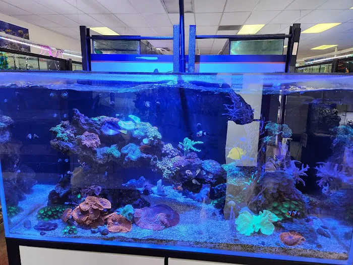 Aquatek Tropical Fish 4