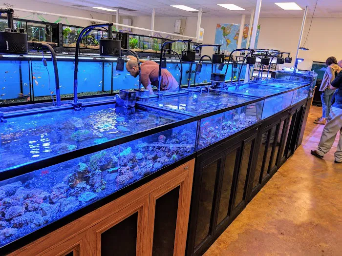 Aquatek Tropical Fish 7