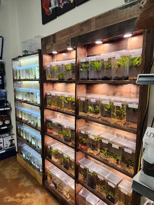 Aquatek Tropical Fish 2
