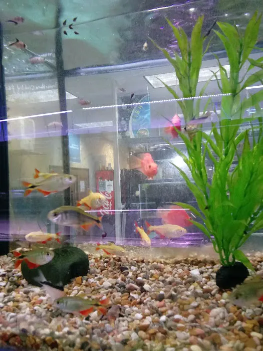 Aquatek Tropical Fish 3