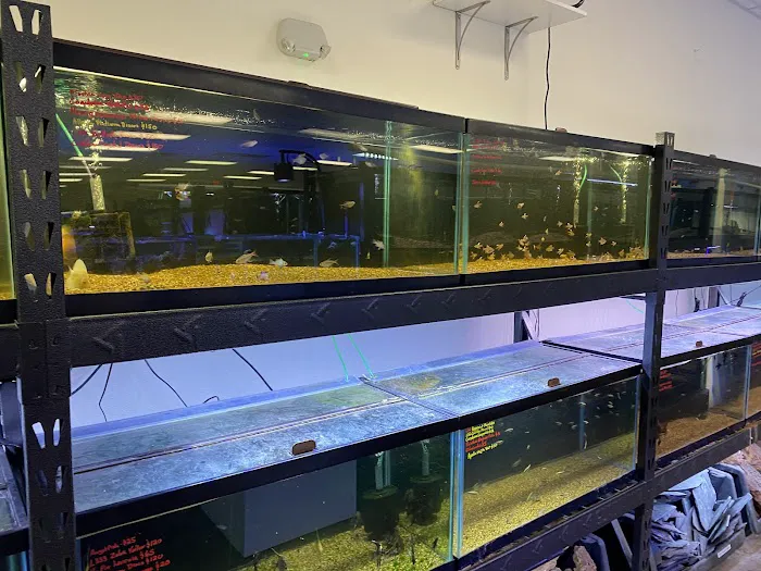 Aquatek Tropical Fish 9