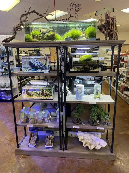 Aquatek Tropical Fish 6