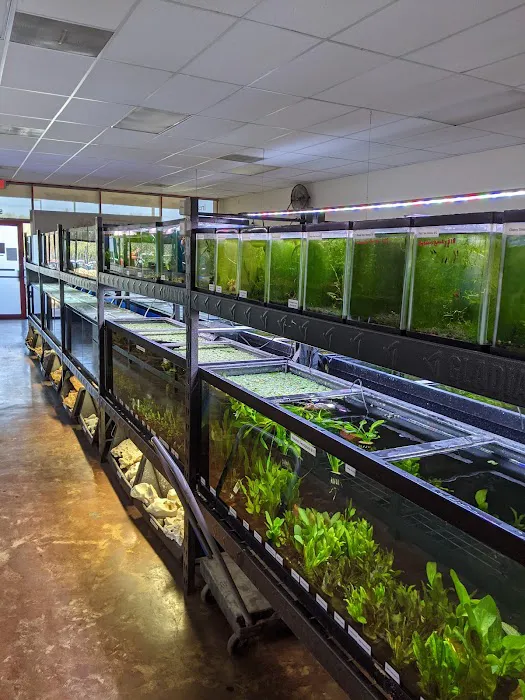 Aquatek Tropical Fish 8