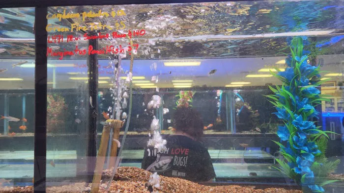 Aquatek Tropical Fish 10