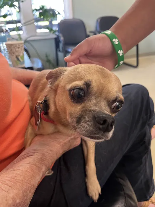Animal Emergency & Trauma Center: Skeen Todd DVM 1