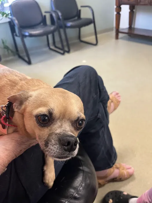 Animal Emergency & Trauma Center: Skeen Todd DVM 4