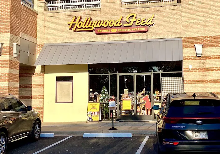 Hollywood Feed 1