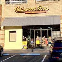 Hollywood Feed ico