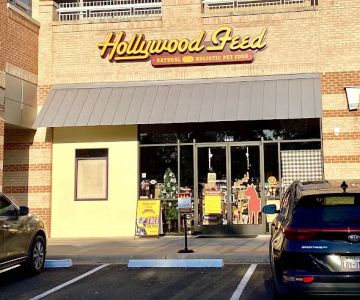 Hollywood Feed