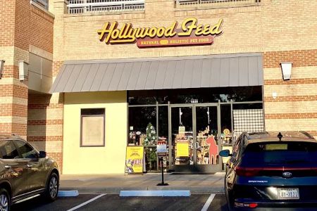 Hollywood Feed