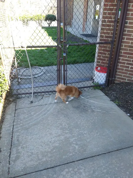 Carolina Veterinary Specialists Winston-Salem 3