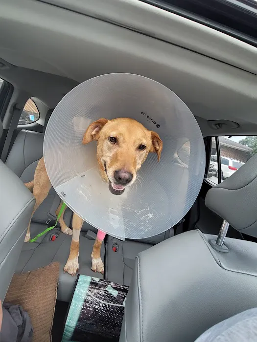 Carolina Veterinary Specialists Winston-Salem 8