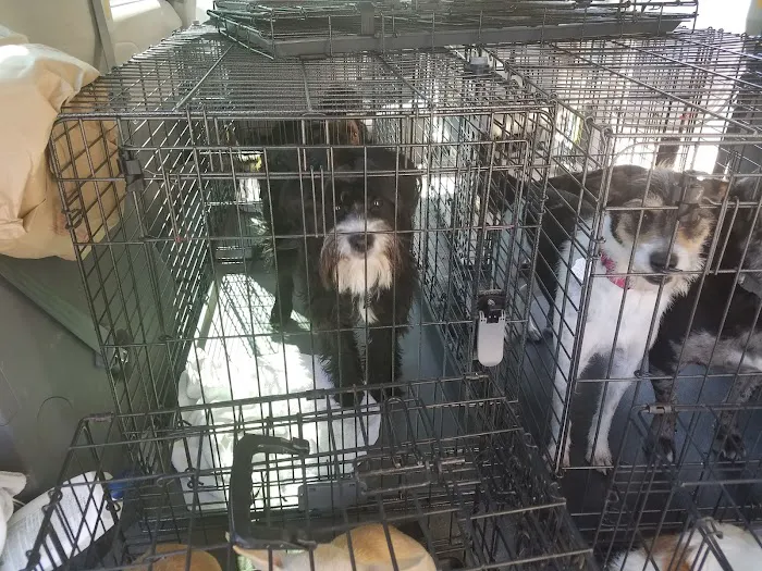 Petco 1