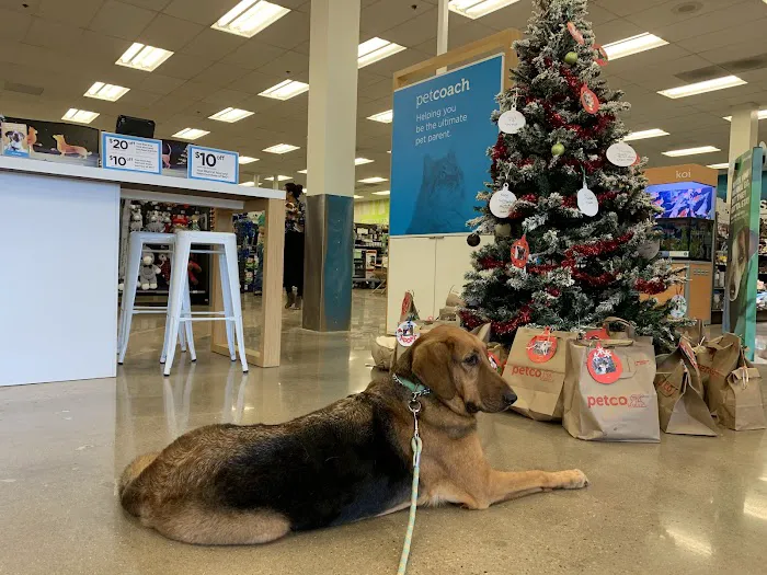 Petco 2