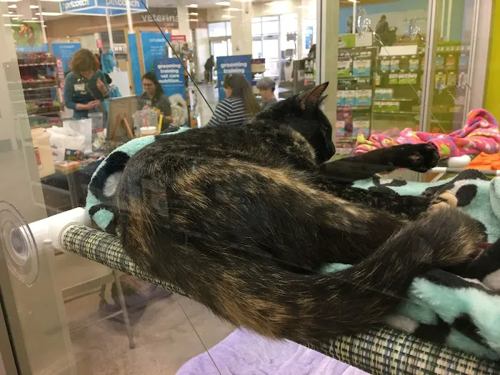 Petco 7