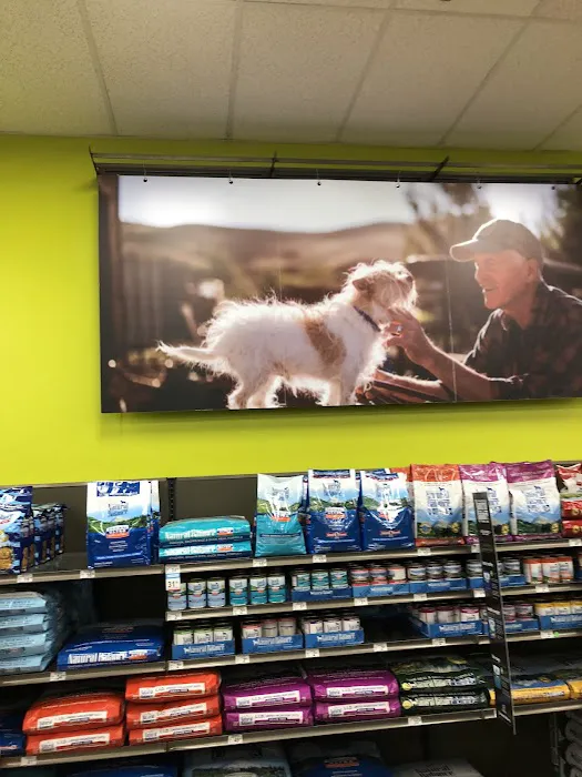Petco 10