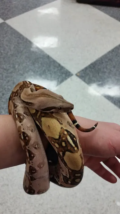 Petco 6