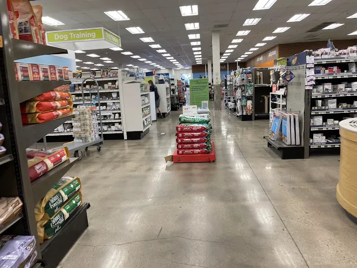 Petco 5
