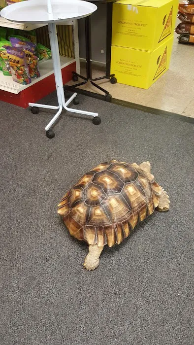 Gallery of Pets 7