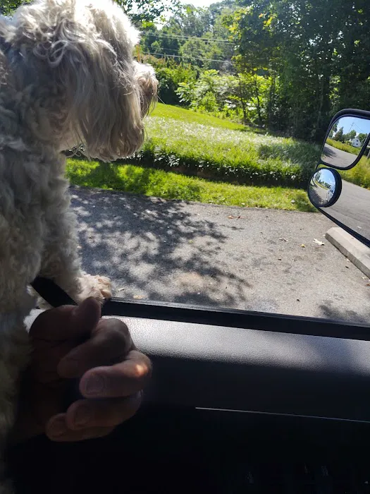 Pilot Mountain Animal Hospital 1