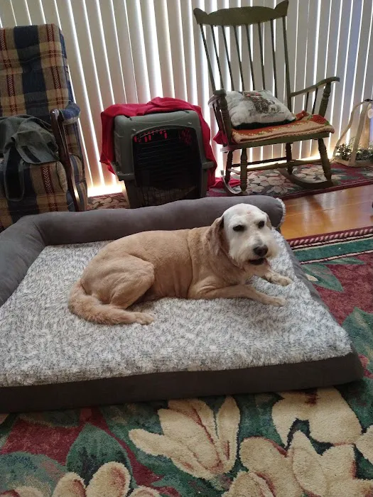 Pilot Mountain Animal Hospital 4