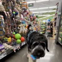 Pet Supplies Plus Austin - N Mopac ico