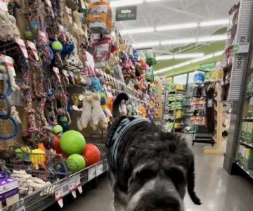 Pet Supplies Plus Austin - N Mopac