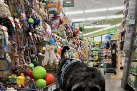 Pet Supplies Plus Austin - N Mopac