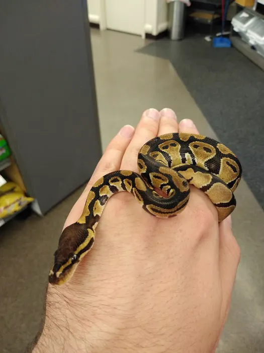Pet Supplies Plus Austin - N Mopac 2
