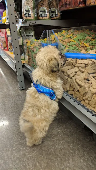 Pet Supplies Plus Austin - N Mopac 7