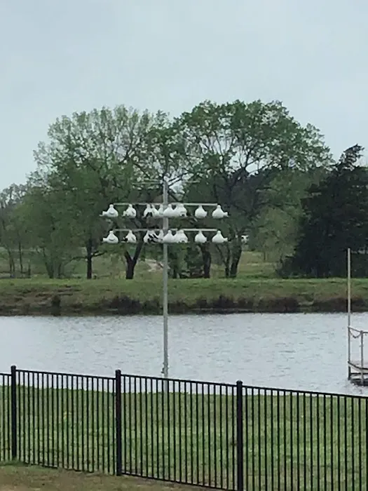 Purple Martin Propagators 1